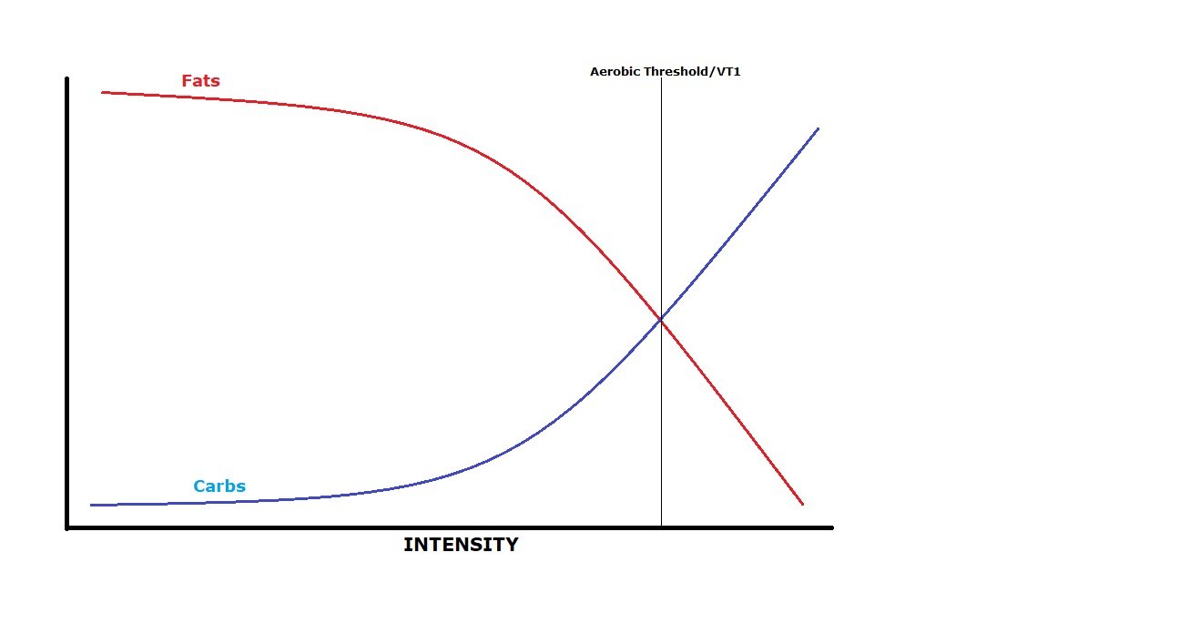 The Science of Cycling Understand Exercise Physiology to Get